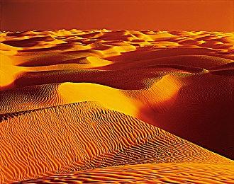 《四海兄弟》新作采用虚幻5引擎打造 或进入预制作阶段