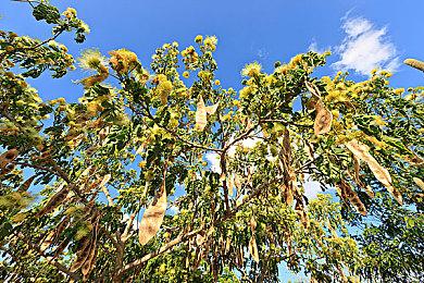 动作冒险地牢探索RPG《Katana Dragon》Steam页面开放 发行日期待定